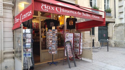 Aux Chimères de Notre-Dame
