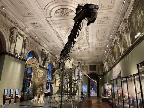 Museum of Natural History Vienna