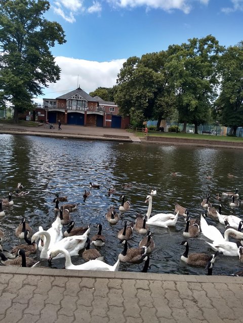 River Avon