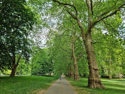 Hyde Park