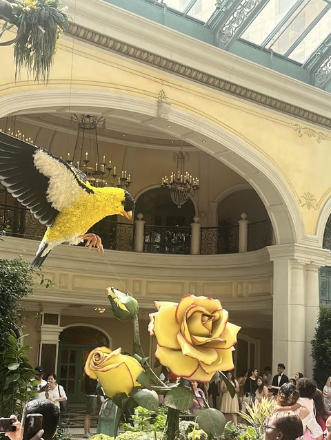 Bellagio Patisserie