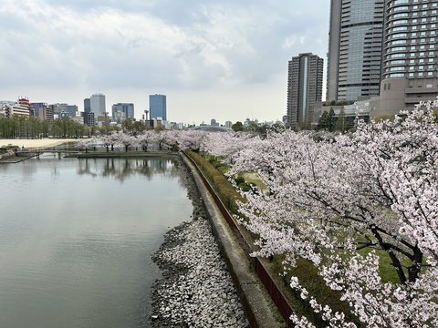 Kema Sakuranomiya Park