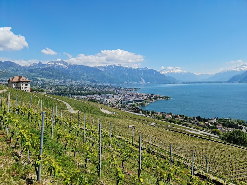 Terrasses viticoles de Lavaux - Cully