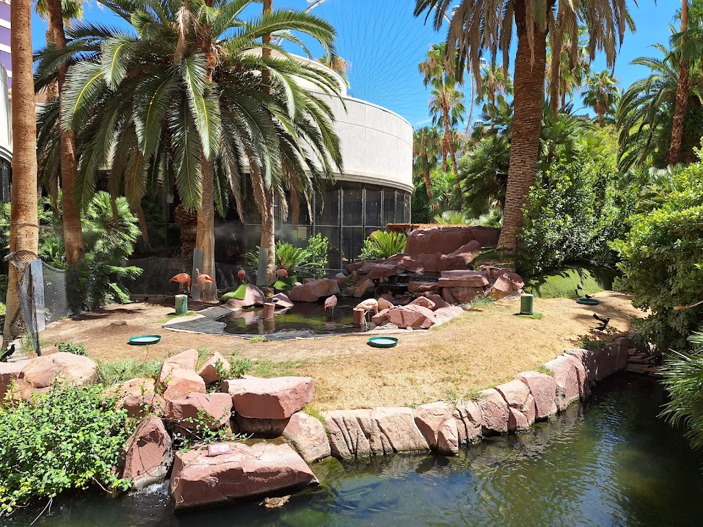 Flamingo Wildlife Habitat