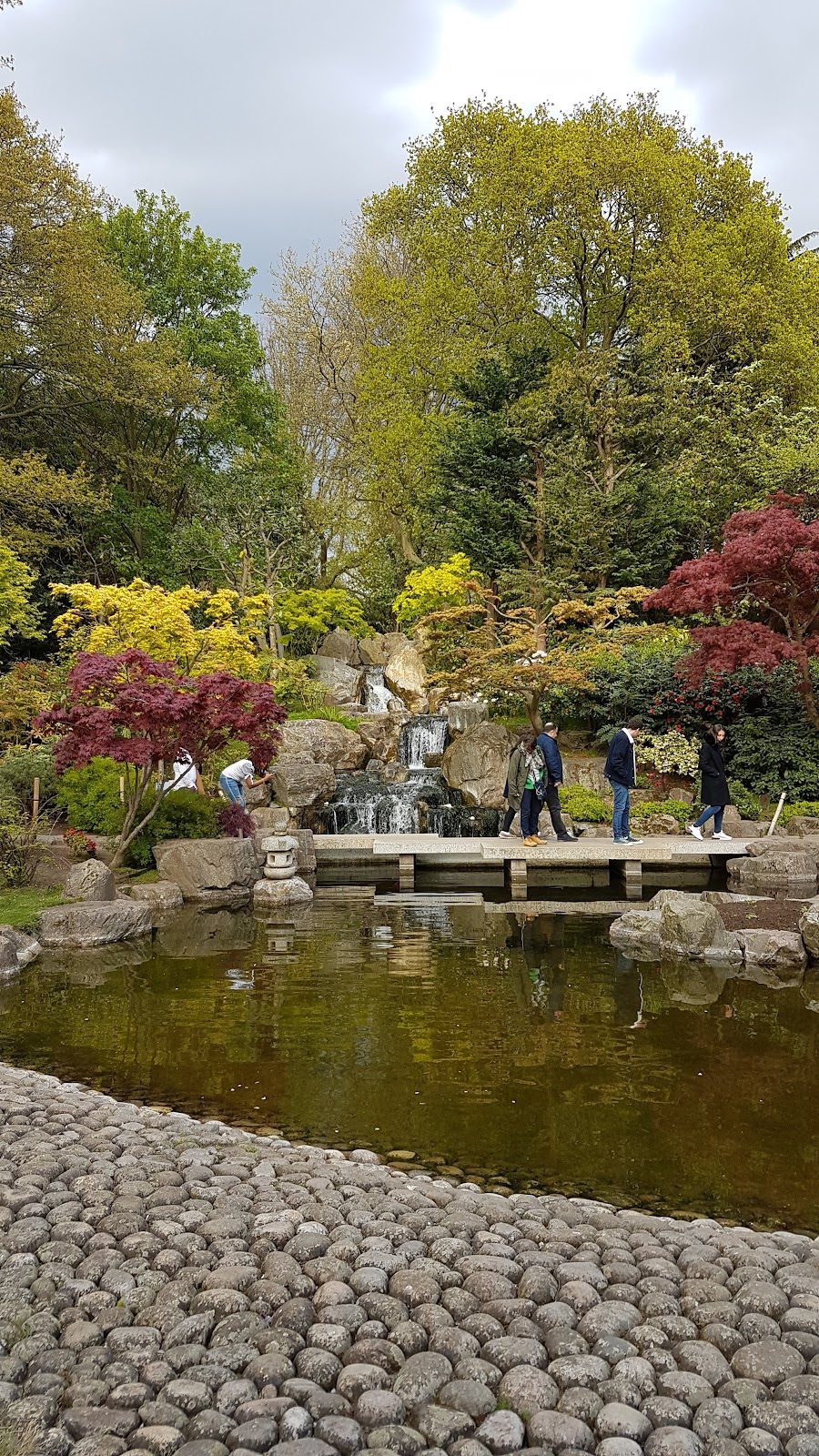 Kyoto Garden
