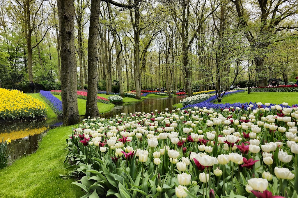 Keukenhof