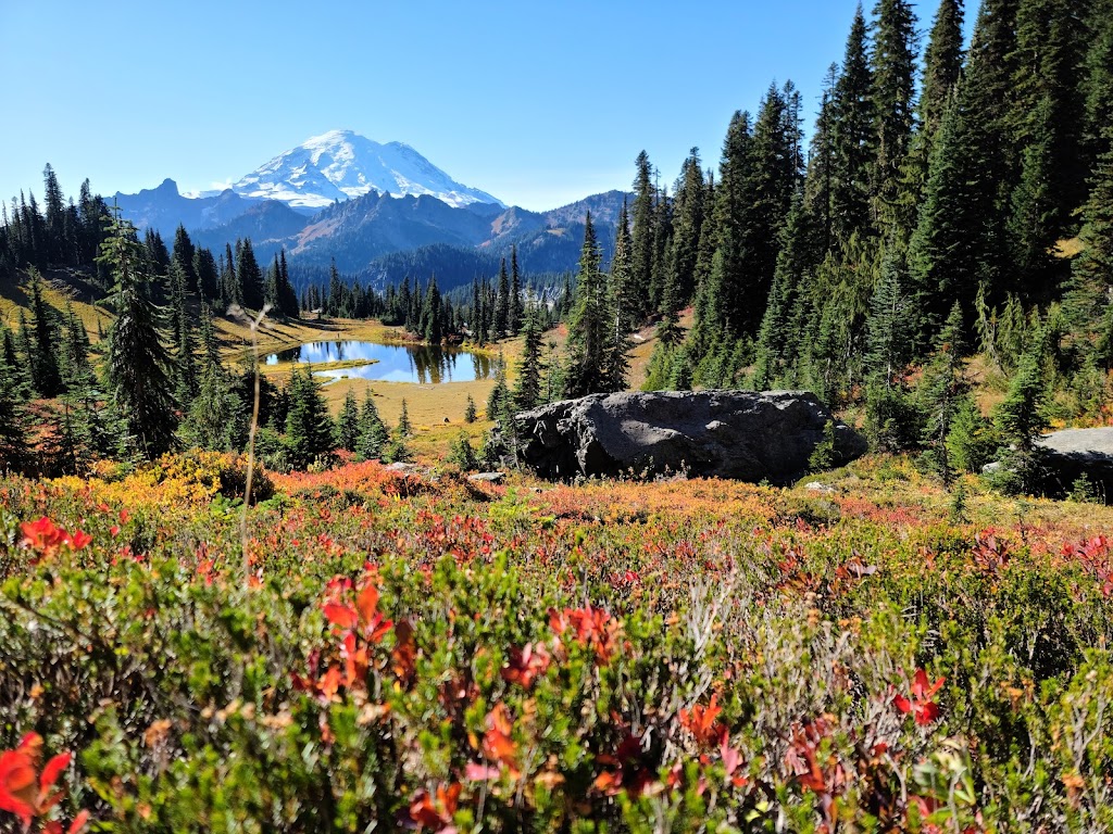 Mount Rainier National Park