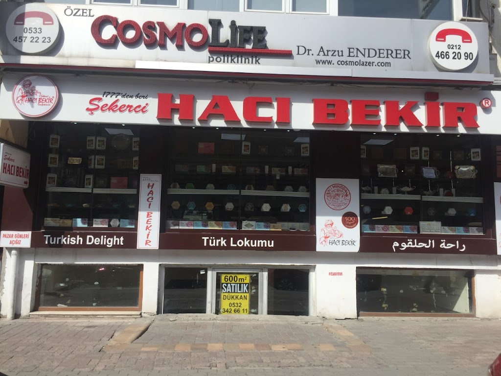 Ali Muhiddin Hacı Bekir