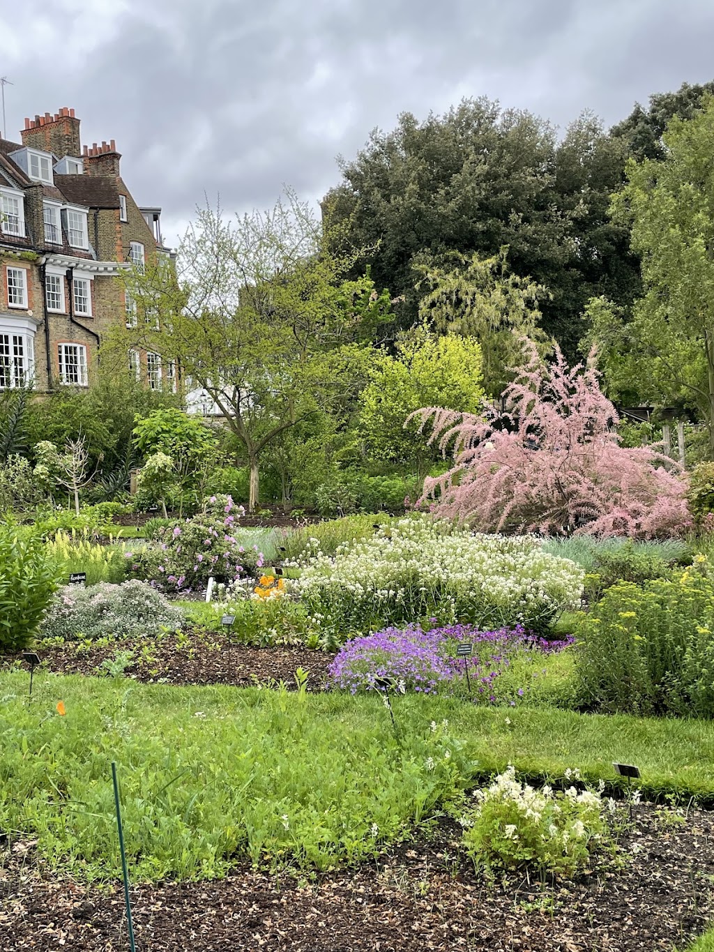Chelsea Physic Garden