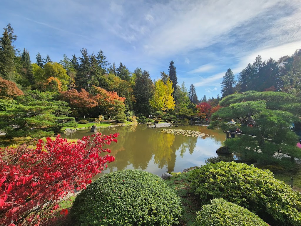 Washington Park Arboretum