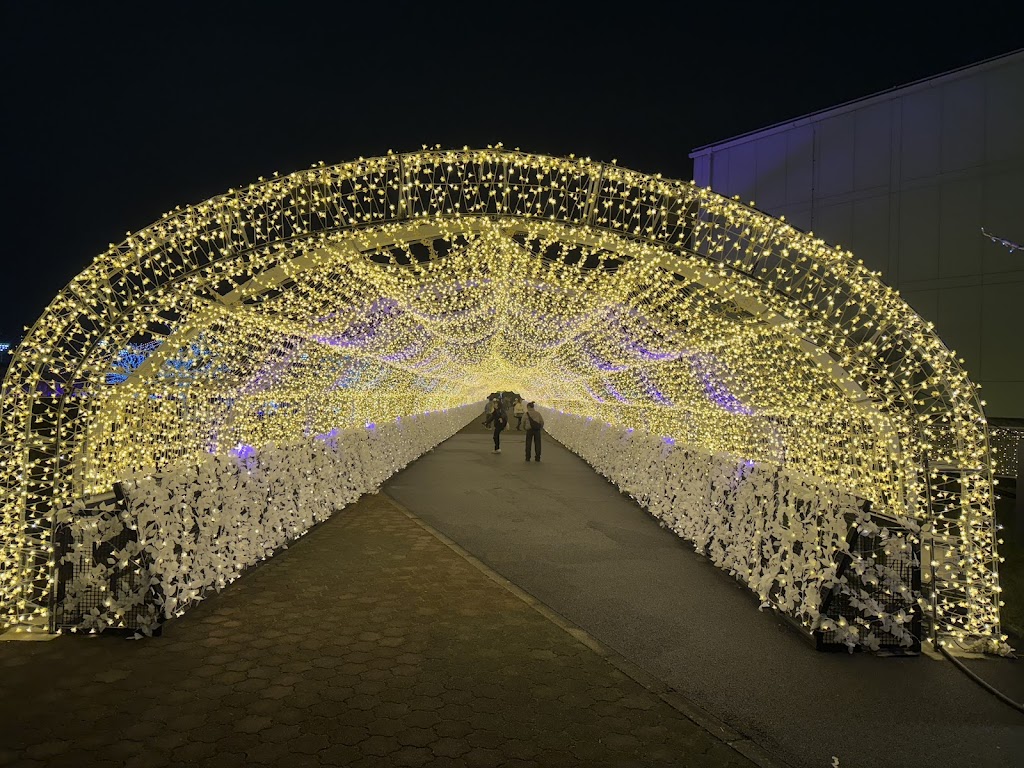 TOKYO MEGA ILLUMINATION