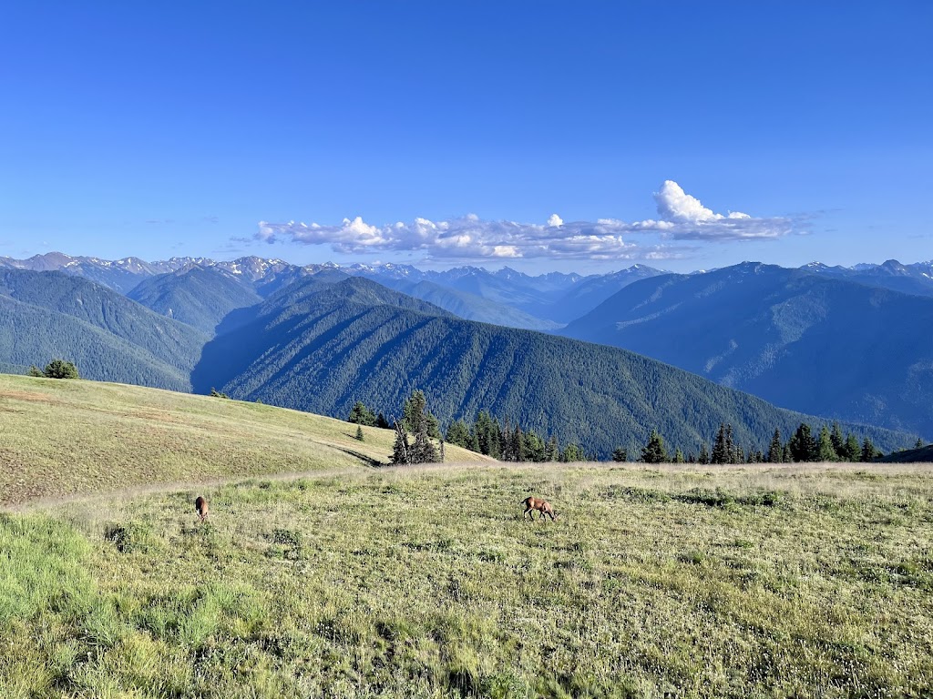 Hurricane Ridge