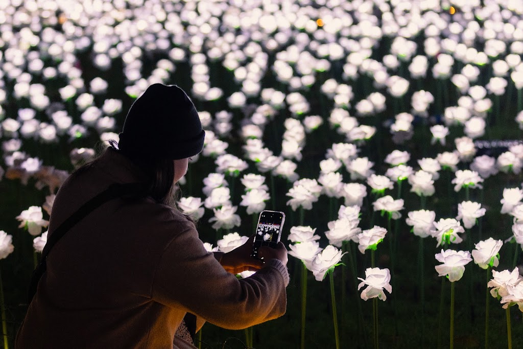 Ever After Garden - Royal Marsden Cancer Charity