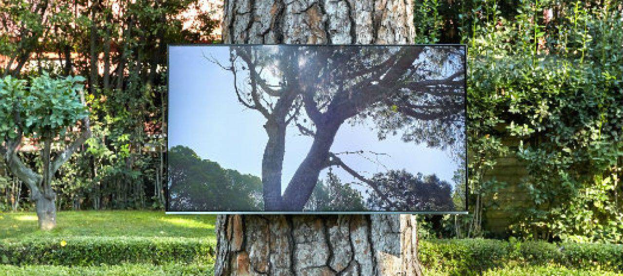 Immagine di copertina per Villa Lontana