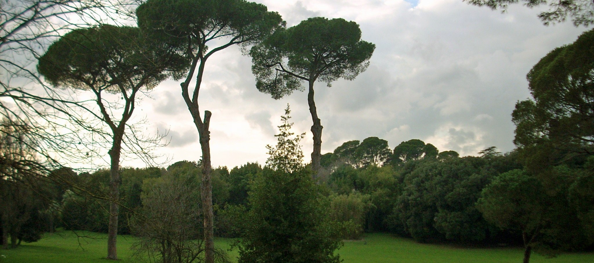Immagine di copertina per Villa Ada