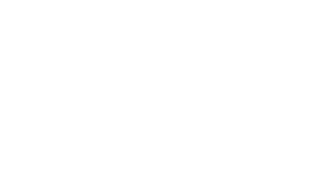Black Desert Prestige Edition
