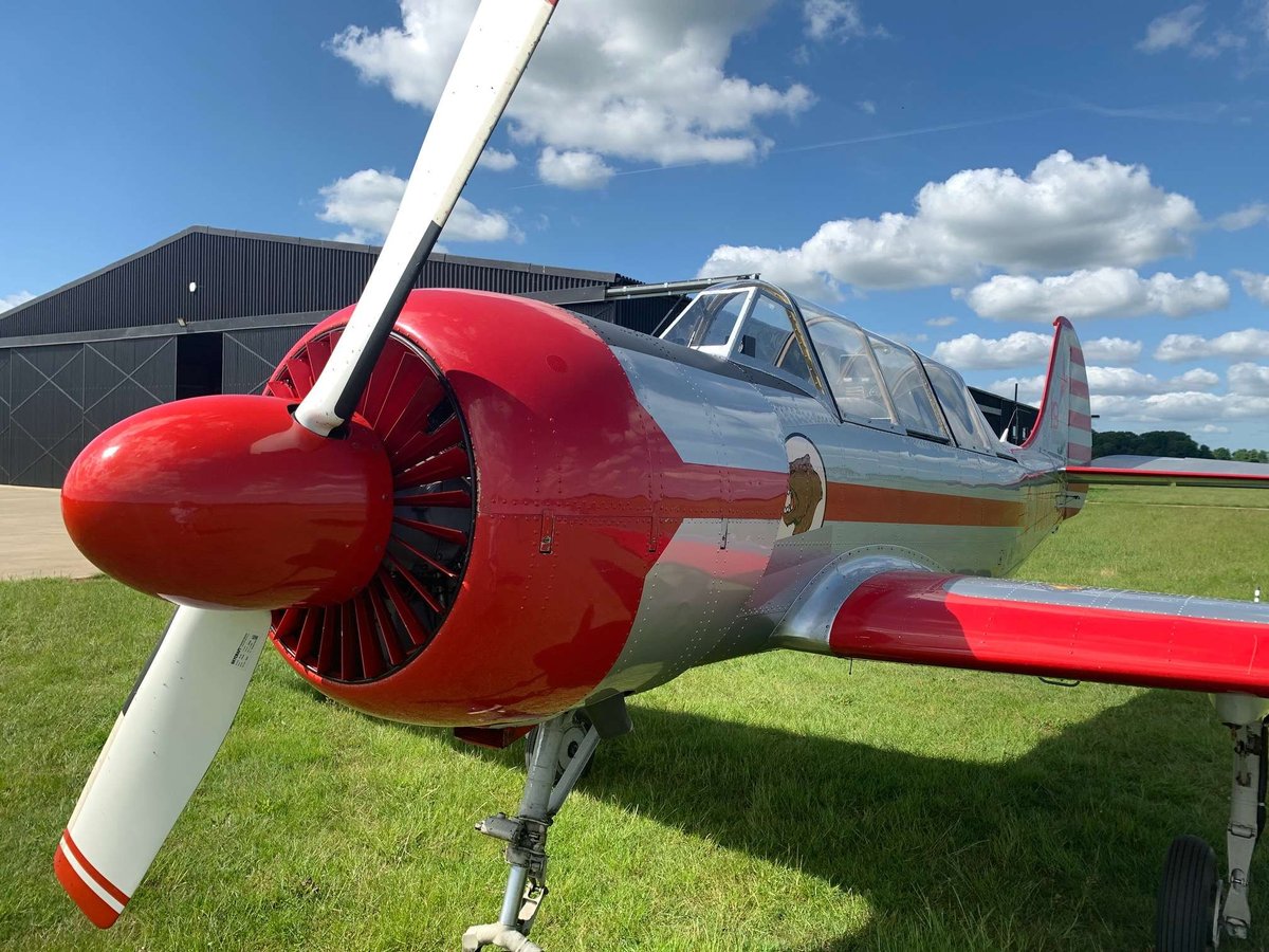 1991 Yak 52 photo 5