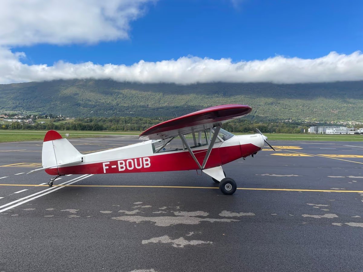 1951 Piper PA19 Super Cub