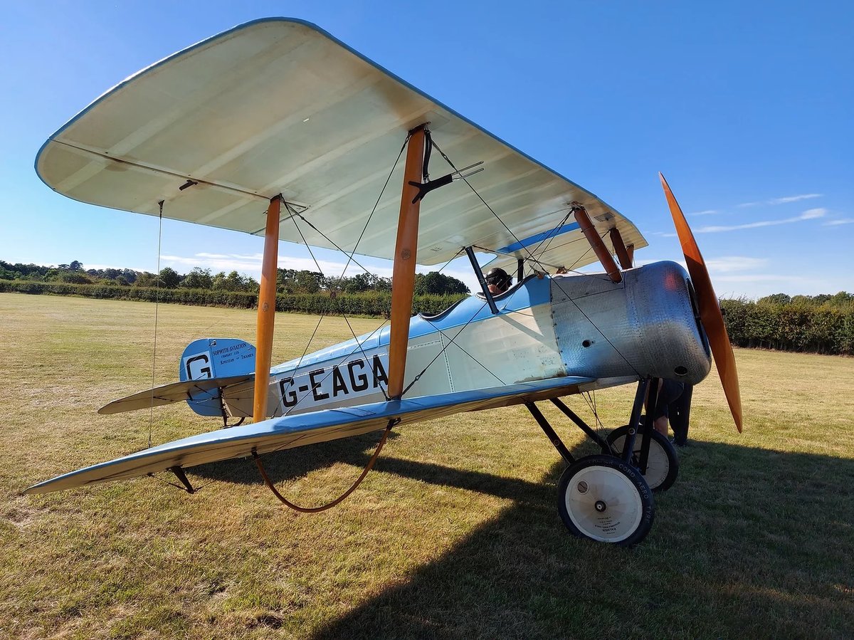 1990 Sopwith Dove
