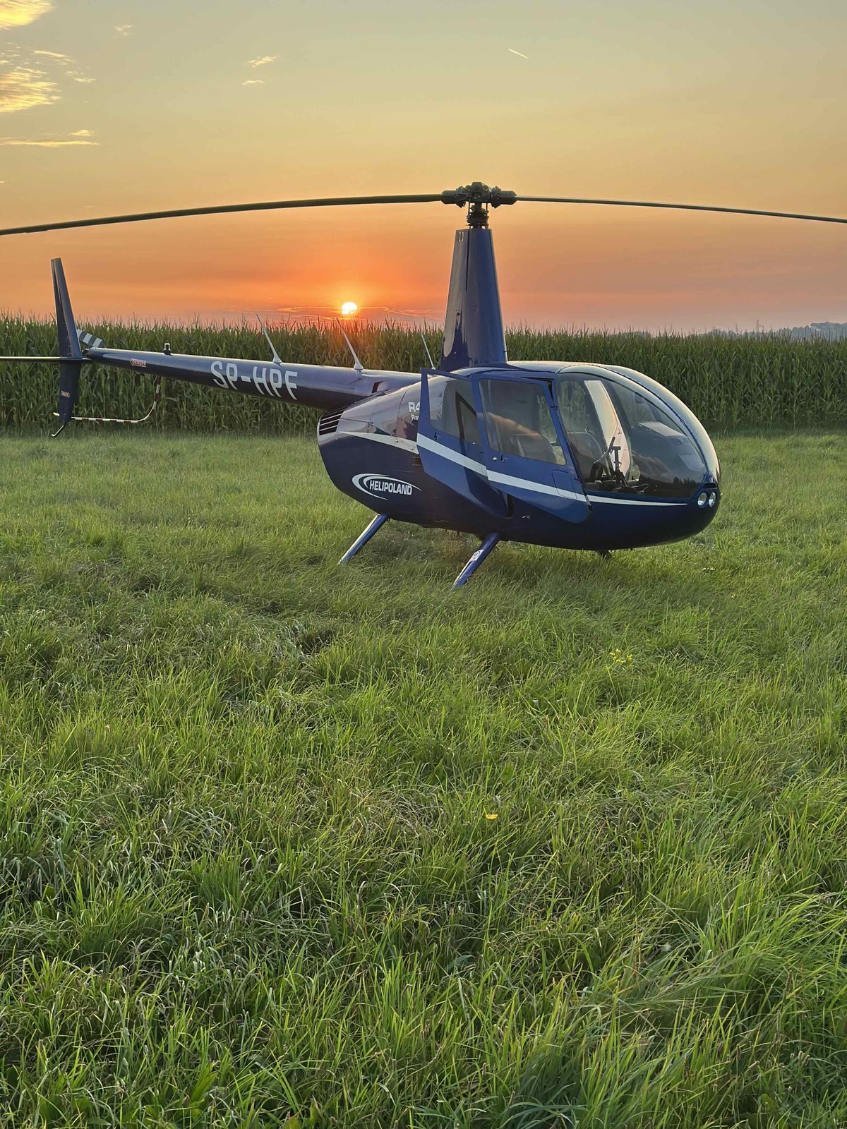 2023 Robinson R44, photo 1