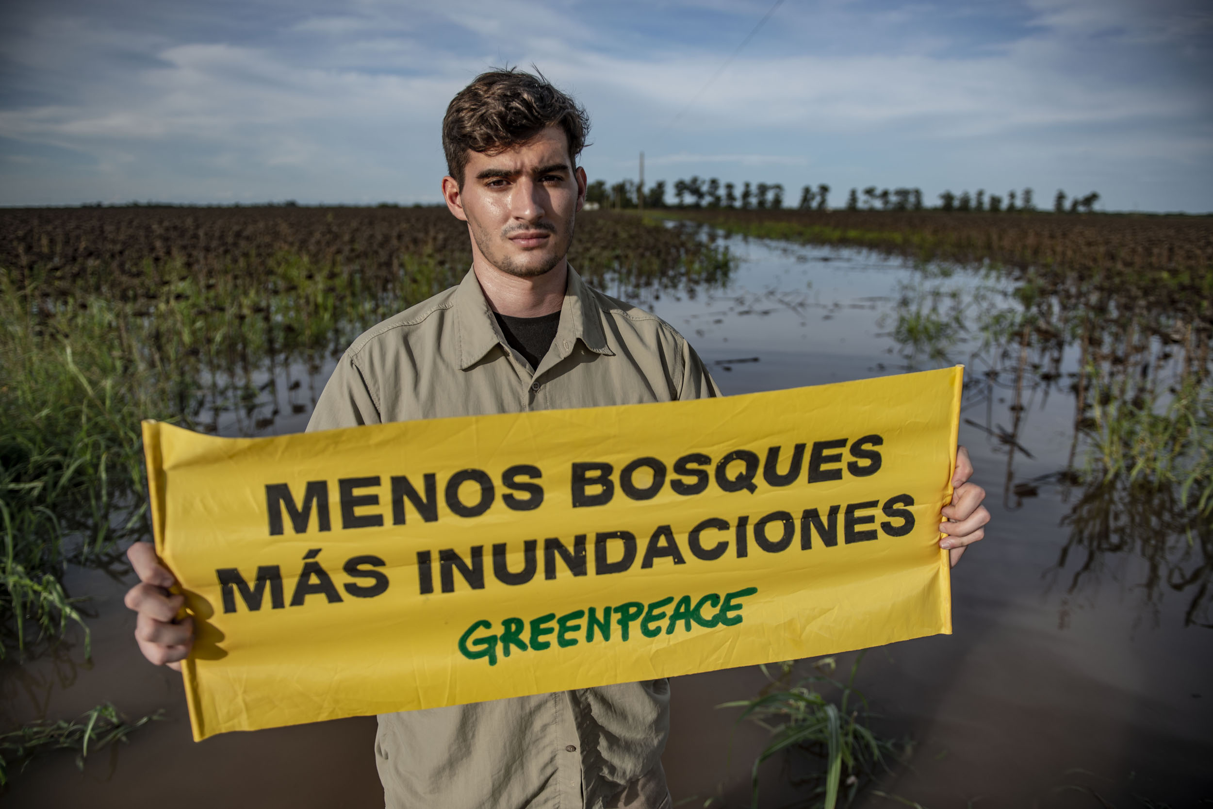 Se deforestaron más de 80.000 hectáreas de bosques nativos en Argentina en 2019, según Greenpeace Image result for deforestacion argentina 2019