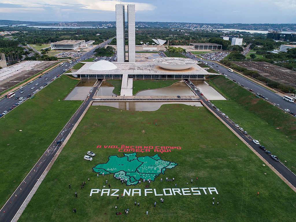 Ação em frente ao Congresso Nacional pede Paz na Floresta