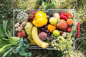 Cesta de frutas e legumes polinizadas por abelhas