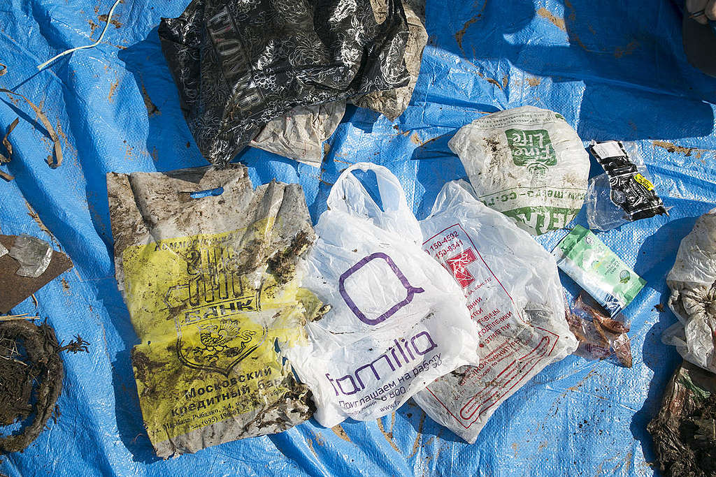 Sacolinhas plÃ¡sticas encontradas na praia.