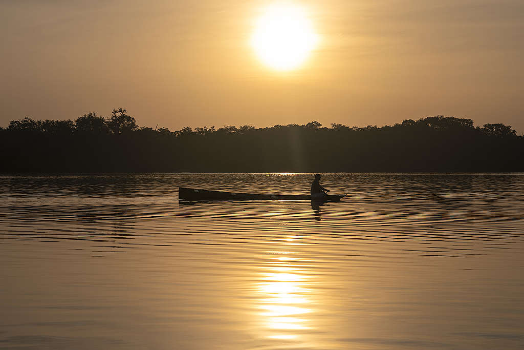 Pescador rema em rio durante por do sol