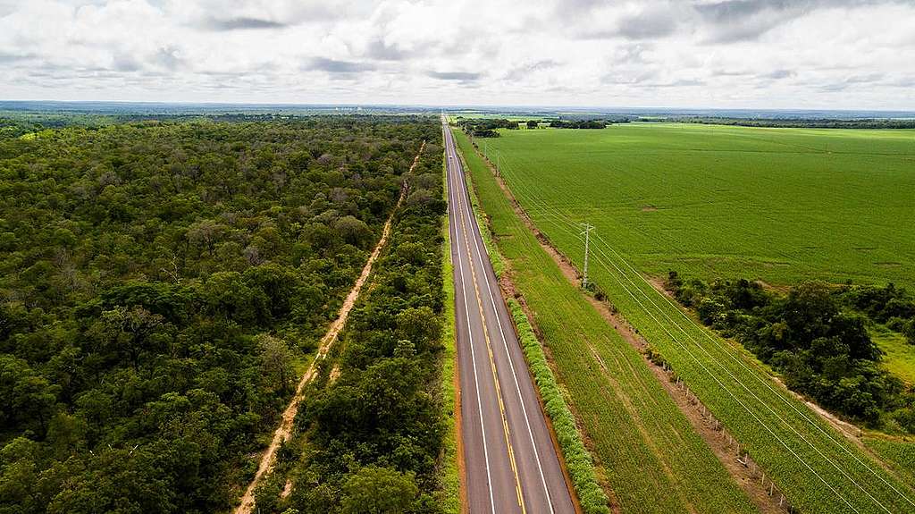A região entre os estados do Maranhão, Tocantins, Piauí e Bahia, conhecida como MATOPIBA, é considerada a vitrine do agronegócio brasileiro. Mas esse modelo vem acelerando o desmatamento no Cerrado.