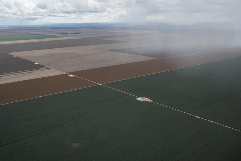 Área de cultivo de soja no Condomínio Estrondo, no oeste da Bahia