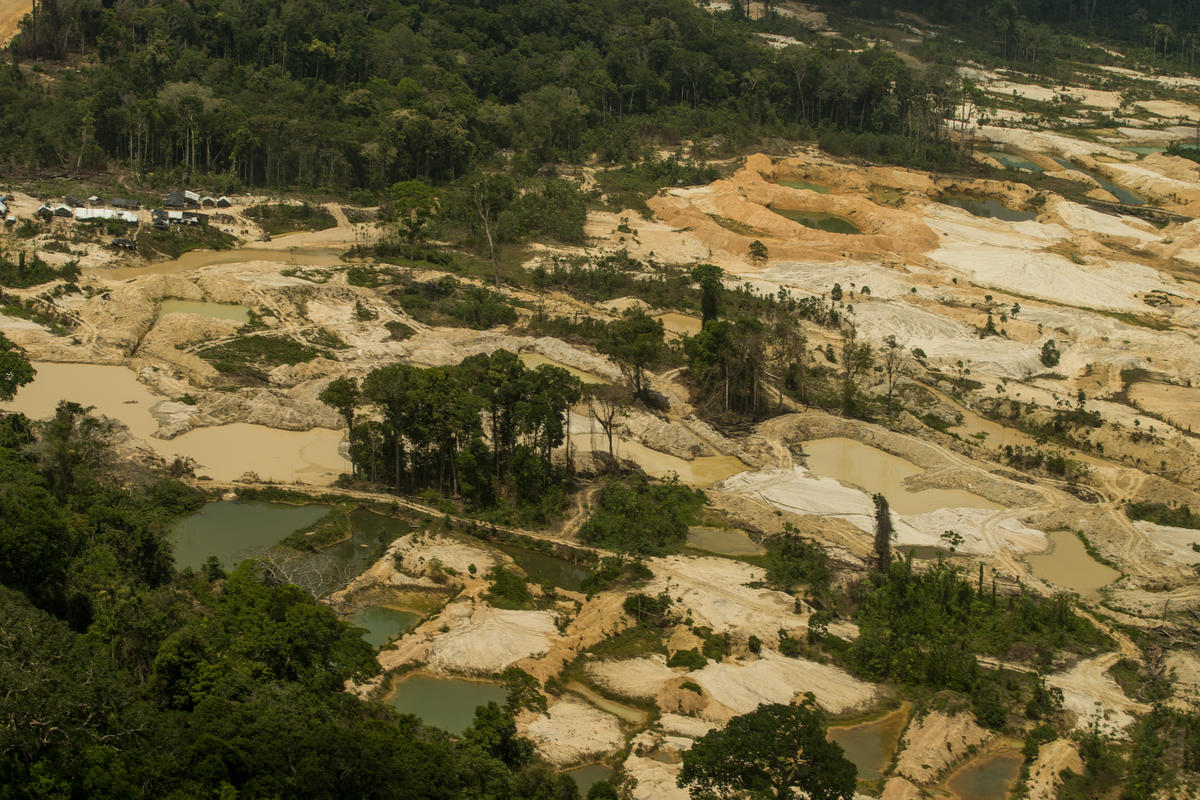 Imagem aérea dos garimpos ilegais na Terra Indígena Munduruku