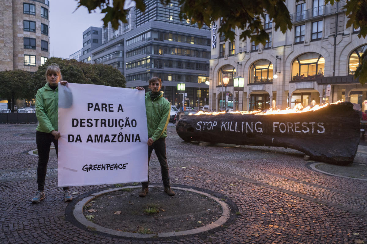 Ativistas do Greenpeace Alemanha mostram cartaz com a frase "pare a destruição da Amazônia"; tronco de árvore com a frase em inglês "stop killing forests" queima ao fundo