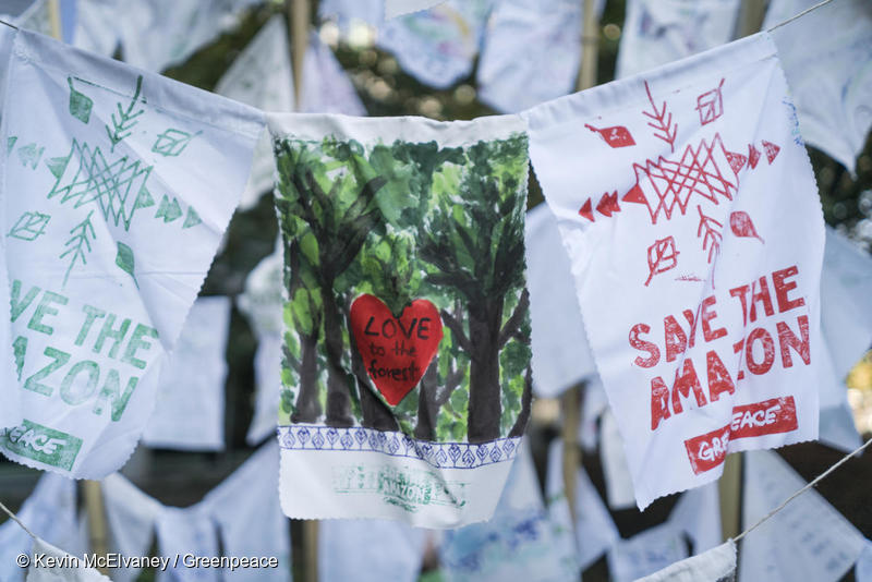 Bandeirolas expressam apoio aos povos indígenas do Brasil