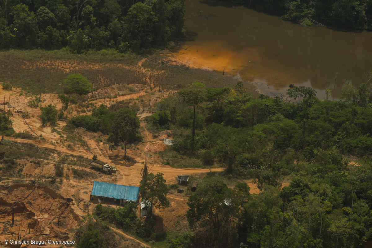 Fotos mostram floresta destruída pelo garimpo, com lama por toda a parte, máquinas trabalhando, rio poluído e árvores destruídas.