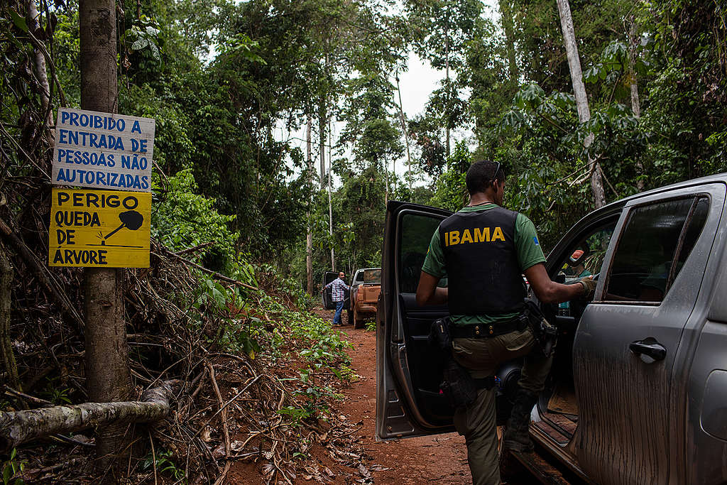 fiscais do Ibama na floresta