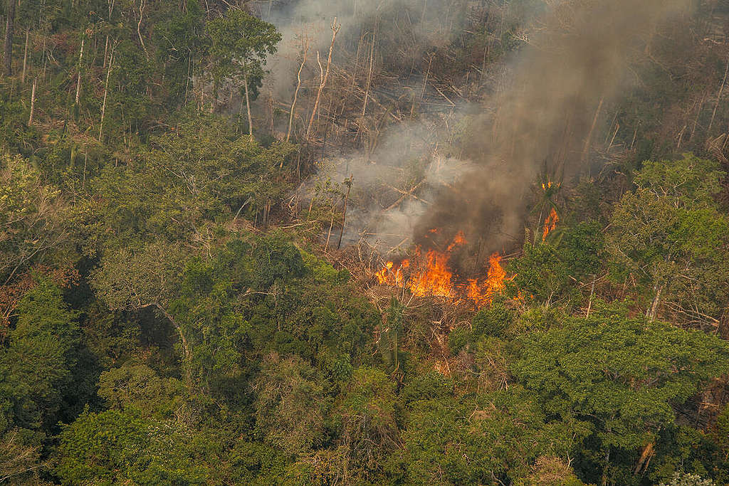 Amazônia pega fogo