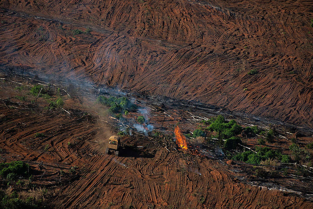 fogo na Amazônia em Mato Grosso