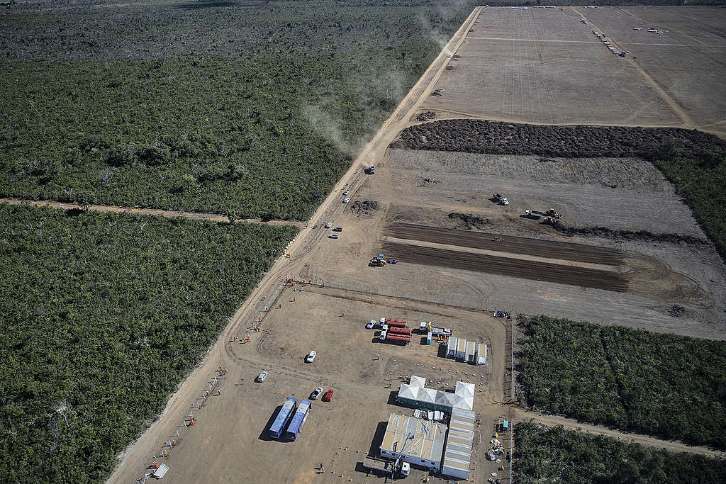 Soya Production in the Cerrado Region, Brazil. © Marizilda Cruppe / Greenpeace