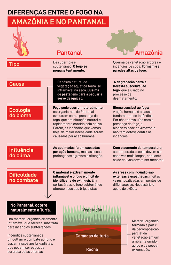 Impressionante e assustador: o que é o incêndio em turfa, que provocou a maior destruição do Pantanal nos últimos 50 anos 