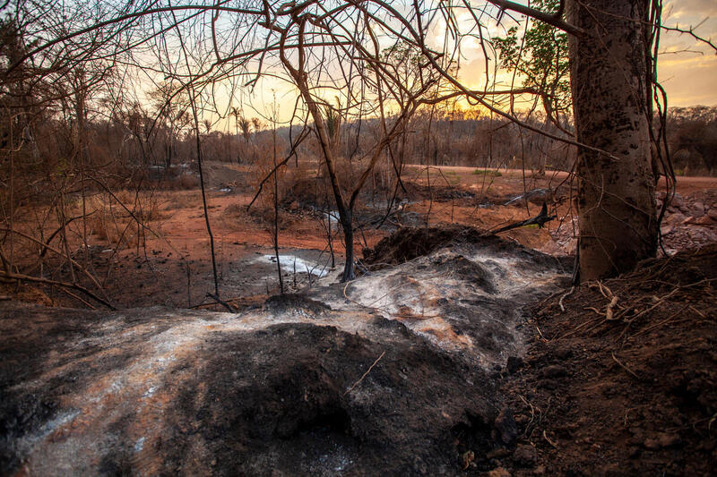 Impressionante e assustador: o que é o incêndio em turfa, que provocou a maior destruição do Pantanal nos últimos 50 anos