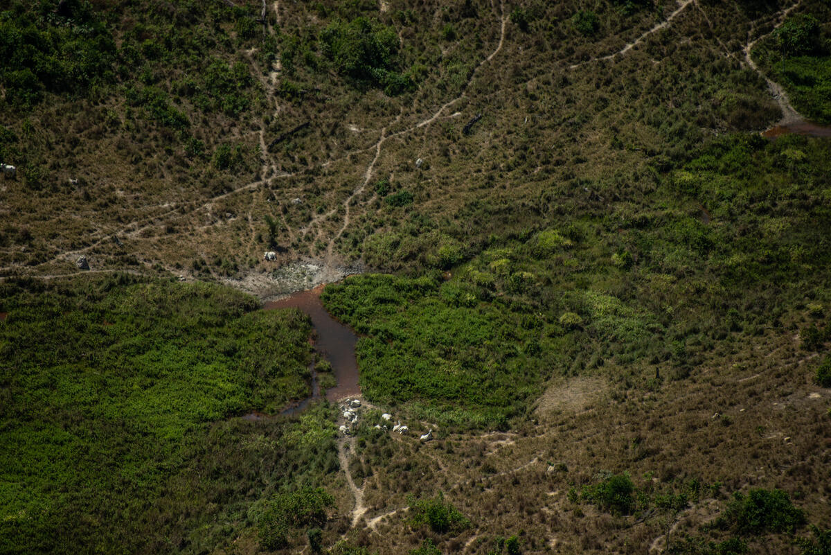 Desmatamento de 1.700 Hectares na APA Jamanxim na Amazônia. © Christian Braga / Greenpeace