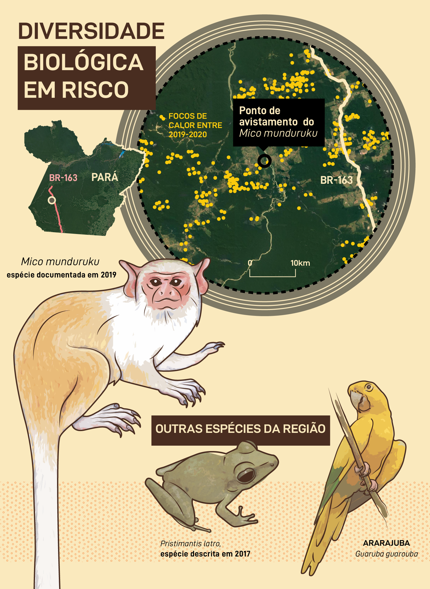 Diversidade biológica em risco