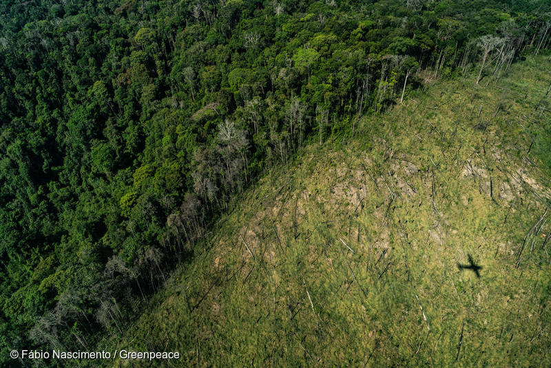 Cachoeira - Flight over Amazonia 2019 in the State of ParáCachoeira - Sobrevoo pela Amazonia 2019 no estado do Pará