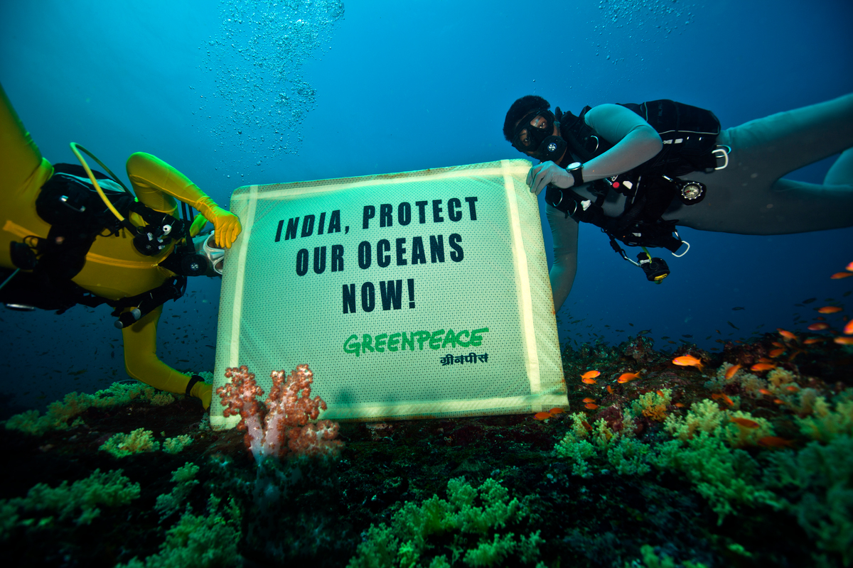 Who we are Greenpeace India