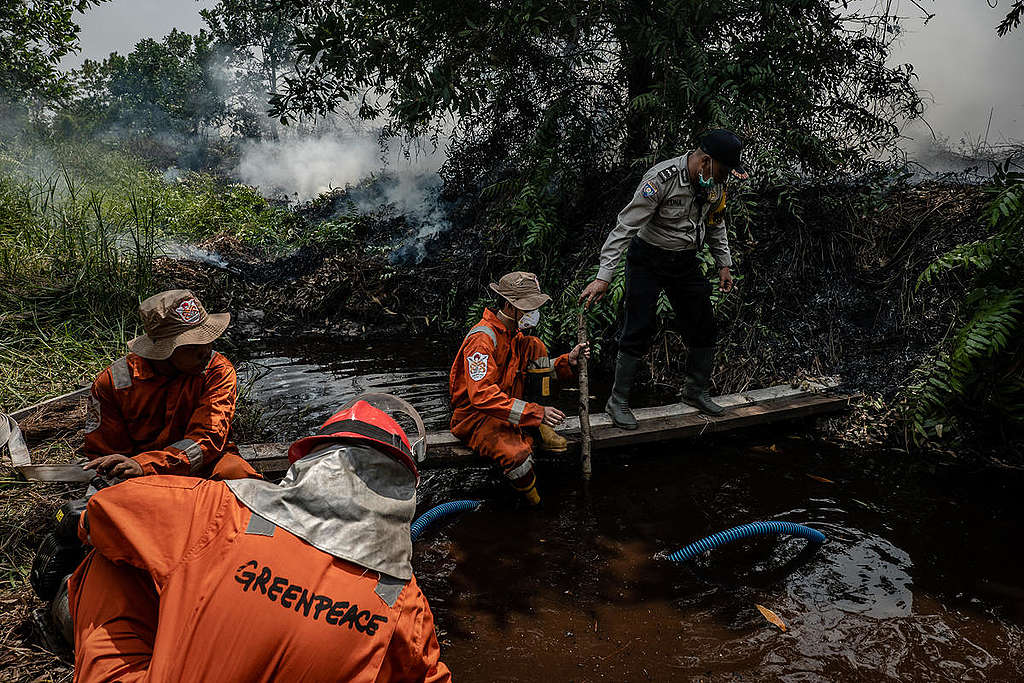 Forest Fires in Central Kalimantan. © Ulet  Ifansasti / Greenpeace