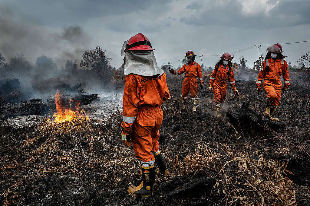 Forest Fires in Tanjung Taruna, Central Kalimantan. © Ulet  Ifansasti / Greenpeace