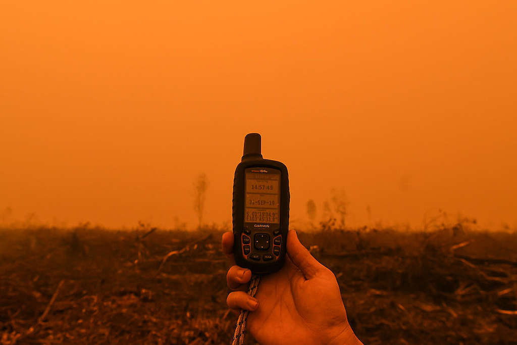 Haze in PT WKS Logging Concession in Jambi. © Muhammad Adimaja / Greenpeace