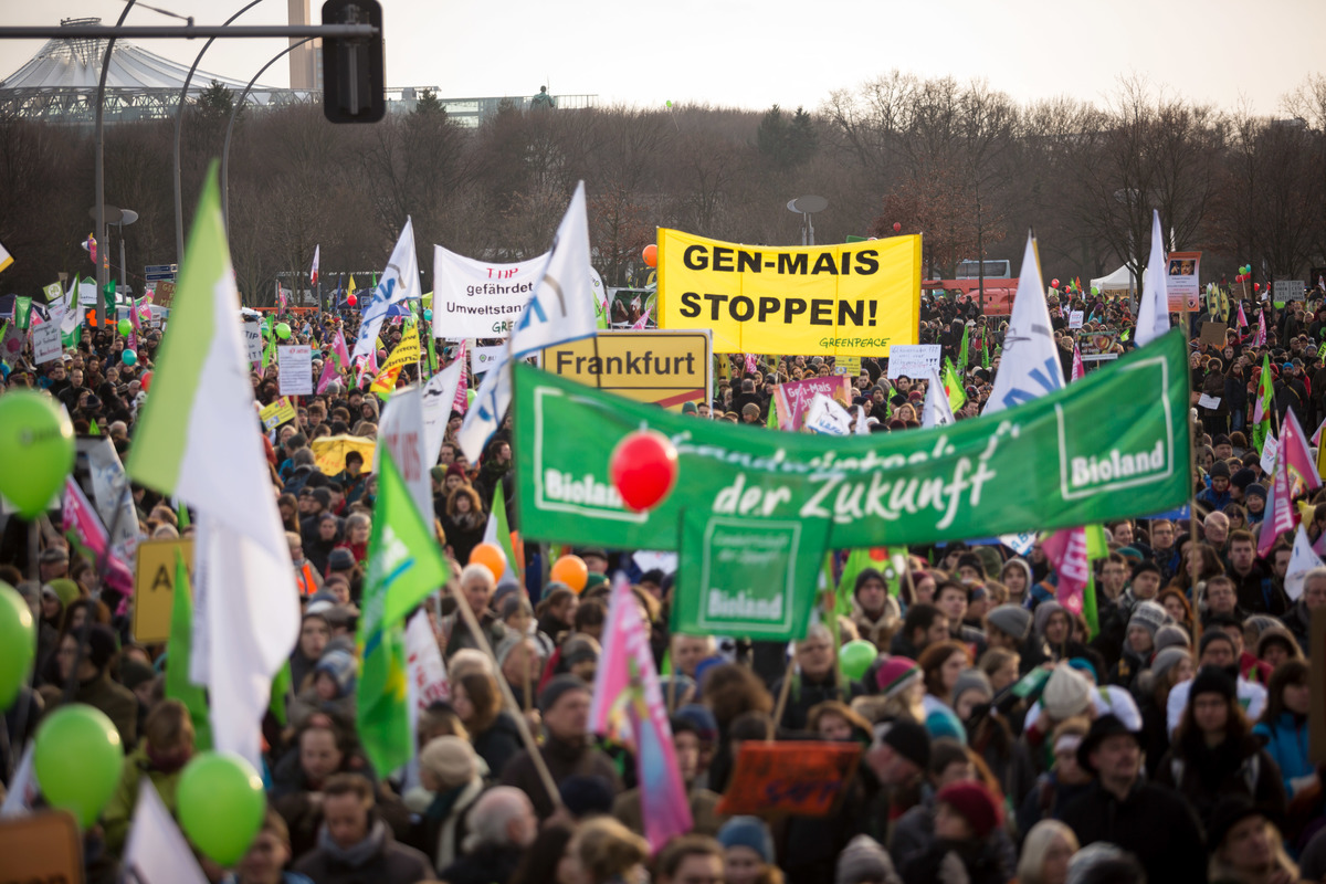 Peace movement. Движение Гринпис. Greenpeace International. Зеленое движение Greenpeace. Общественно политические движения на западе Гринпис.