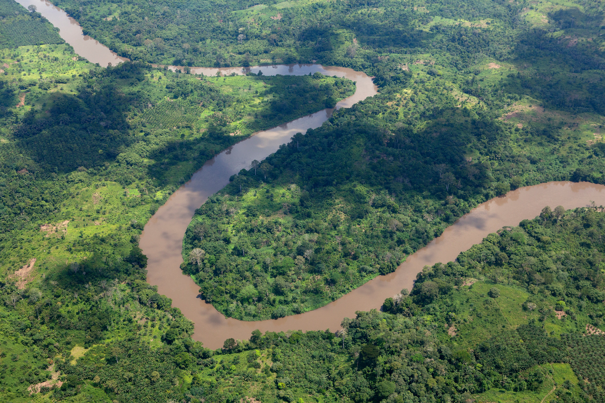 Почему река конго. Демократическая Республика Конго впадина Конго. Река Конго реки Демократической Республики Конго. Река Конго в Африке. Демократическая Республика Конго леса.